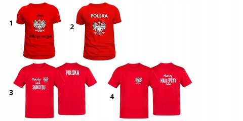 KOSZULKA Z DOWOLNYM NADRUKIEM DLA KIBICA DLA FIRM RÓŻNE KOLORY KOSZULKA Z DOWOLNYM NADRUKIEM DLA KIBICA DLA FIRM RÓŻNE KOLORY